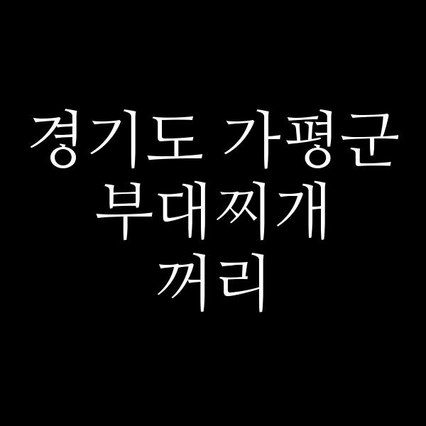요약 정보 이미지