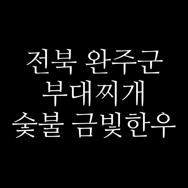요약 정보 이미지
