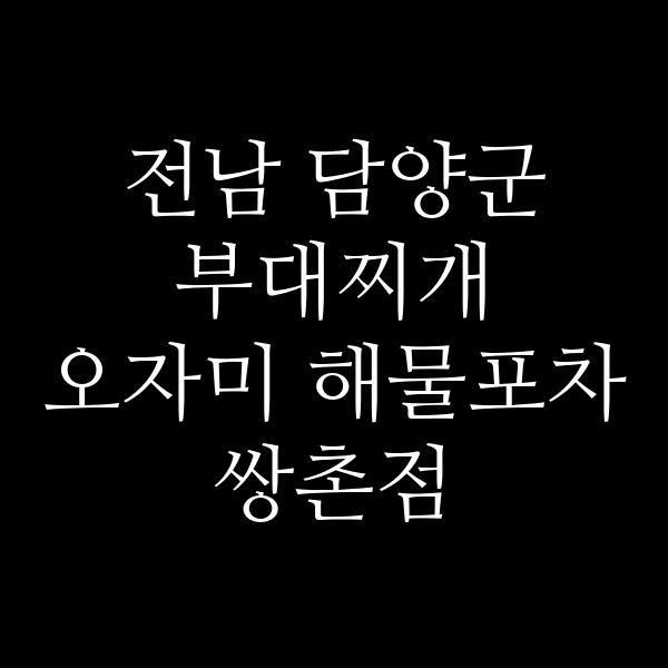 요약 정보 이미지