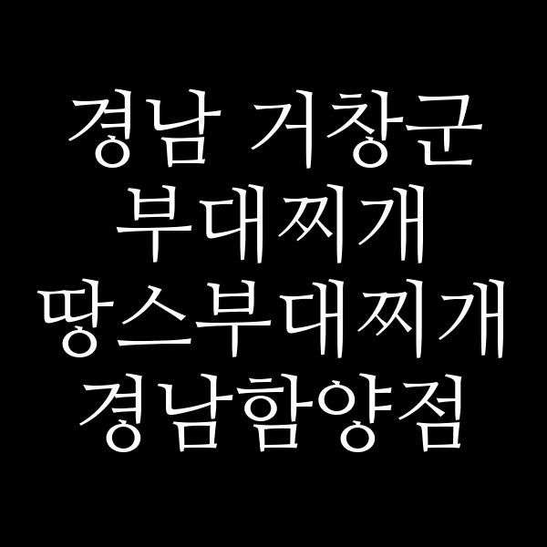 요약 정보 이미지