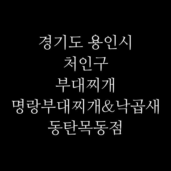 요약 정보 이미지