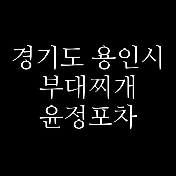 요약 정보 이미지