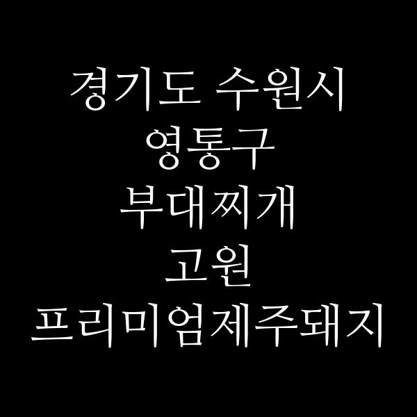 요약 정보 이미지