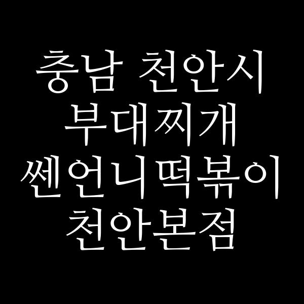 요약 정보 이미지