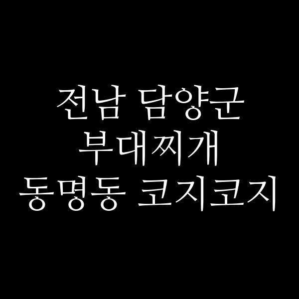 요약 정보 이미지