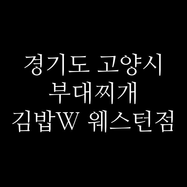요약 정보 이미지