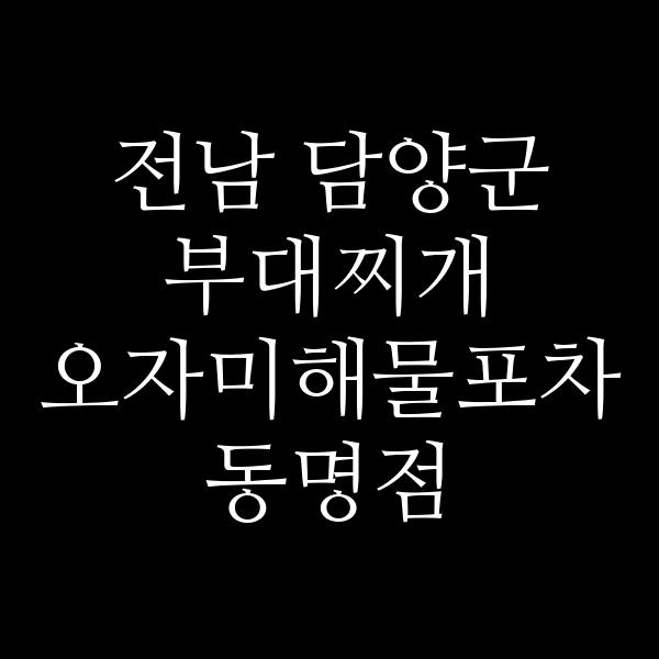 요약 정보 이미지