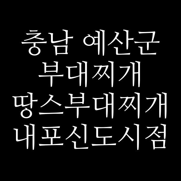 요약 정보 이미지