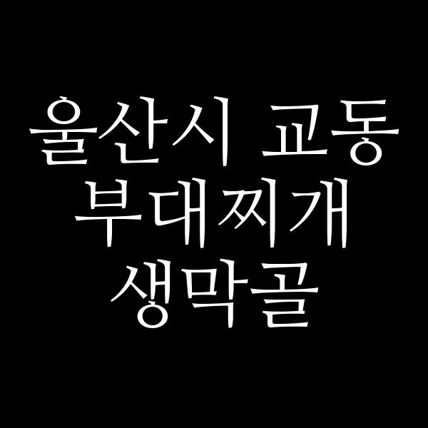 요약 정보 이미지