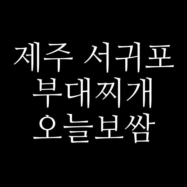 요약 정보 이미지