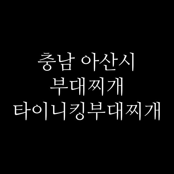 요약 정보 이미지