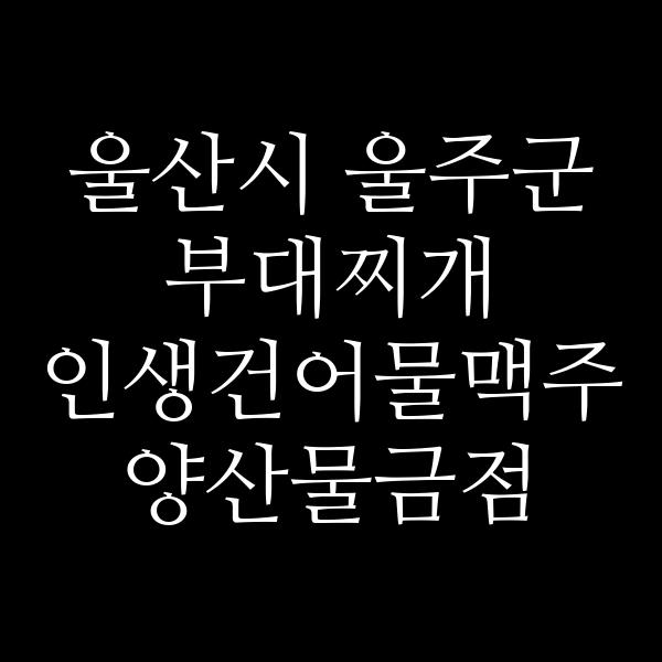 요약 정보 이미지
