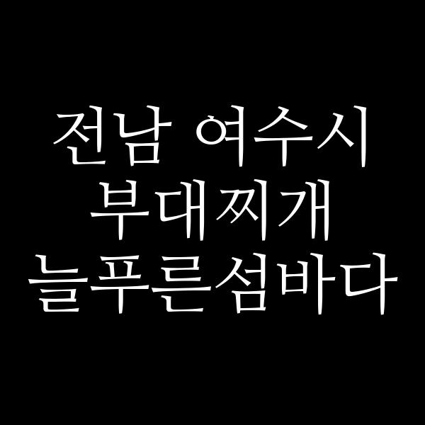 요약 정보 이미지