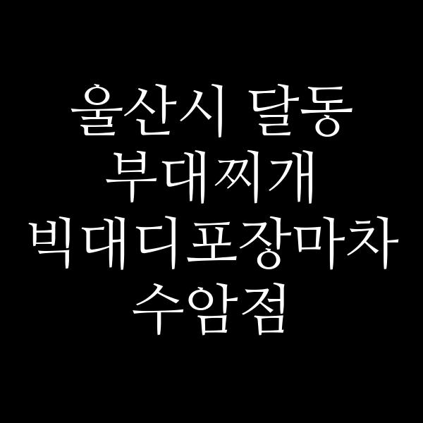 요약 정보 이미지