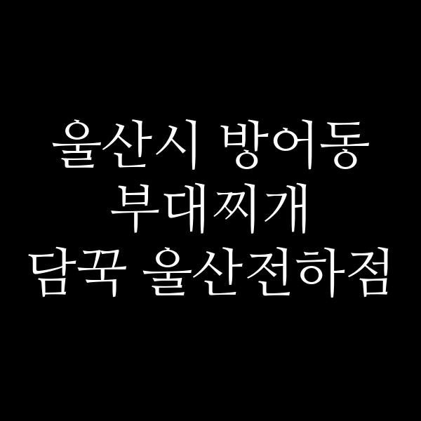 요약 정보 이미지