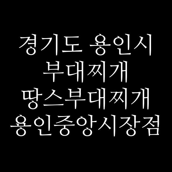 요약 정보 이미지