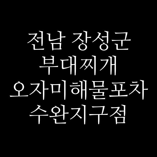 요약 정보 이미지