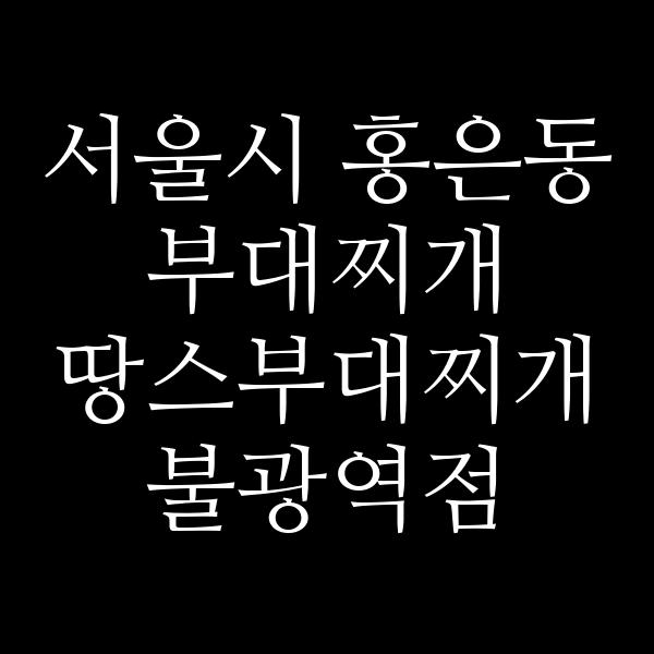 요약 정보 이미지