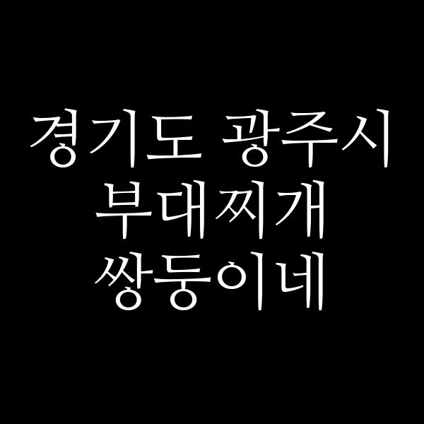 요약 정보 이미지