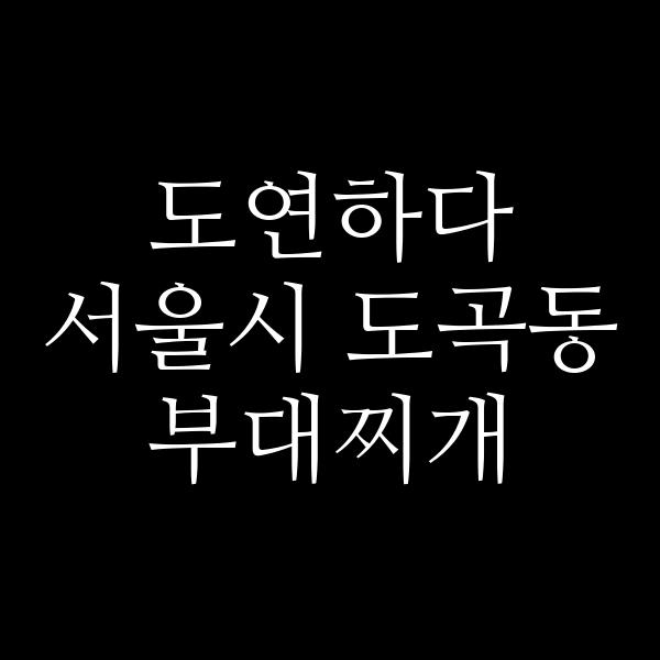 요약 정보 이미지
