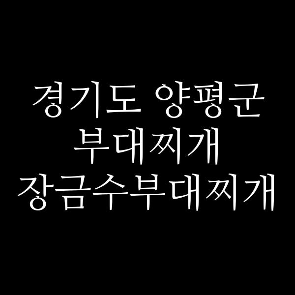 요약 정보 이미지