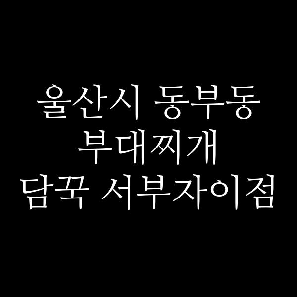 요약 정보 이미지