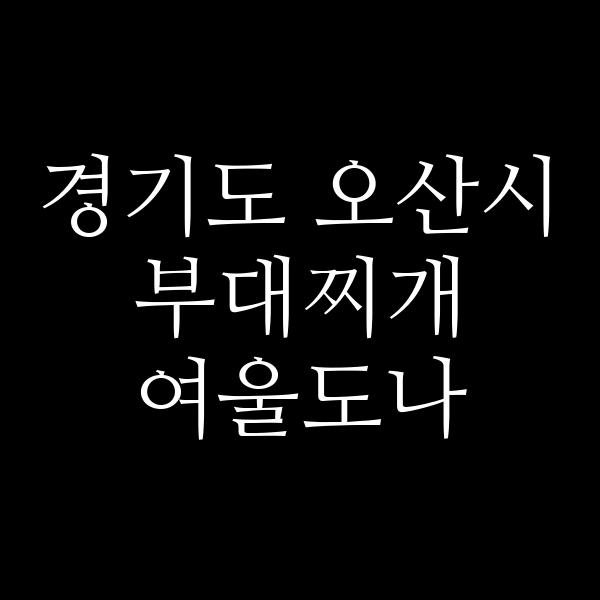 요약 정보 이미지