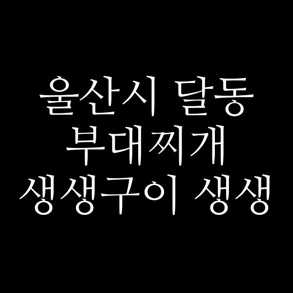 요약 정보 이미지