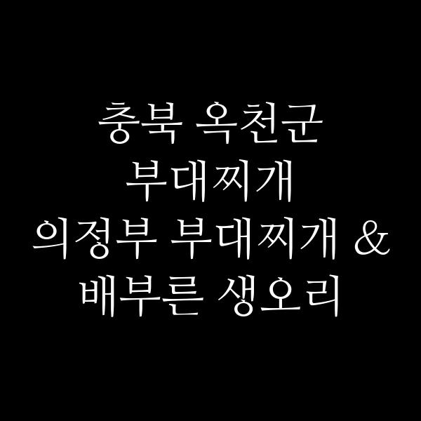 요약 정보 이미지