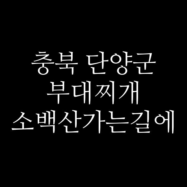 요약 정보 이미지