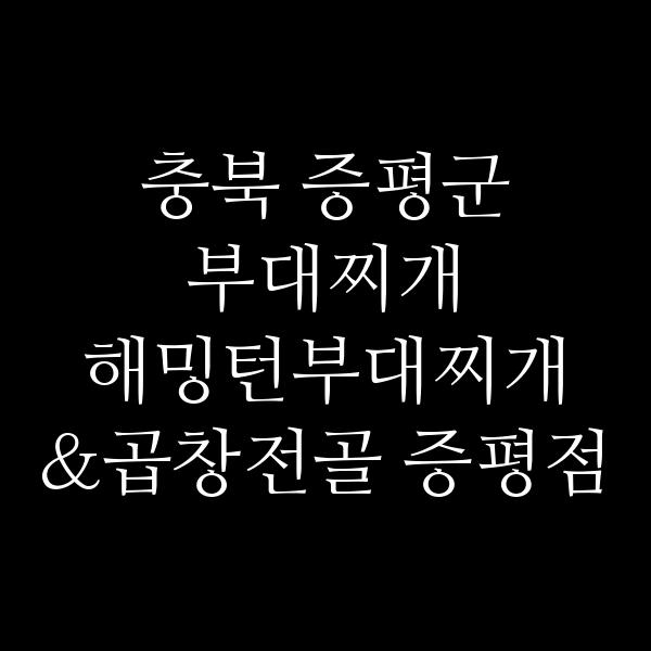 요약 정보 이미지