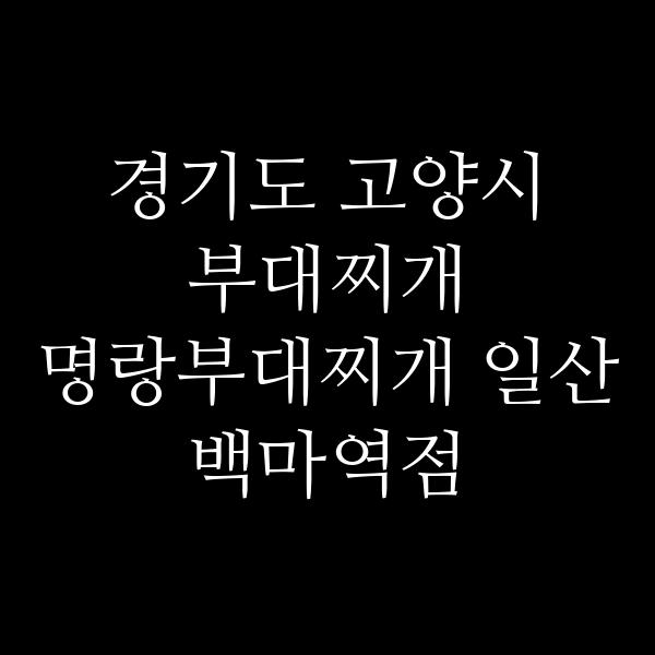 요약 정보 이미지