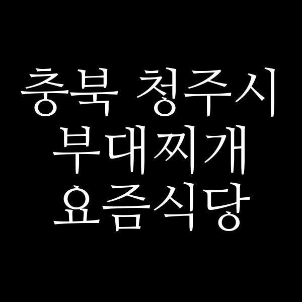 요약 정보 이미지
