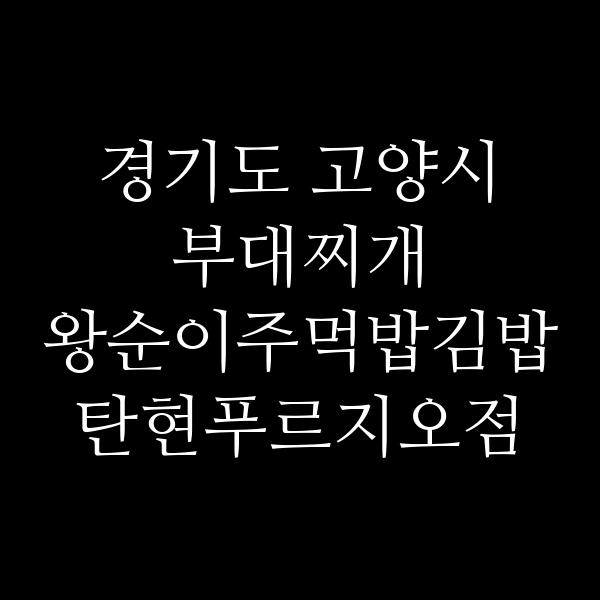 요약 정보 이미지