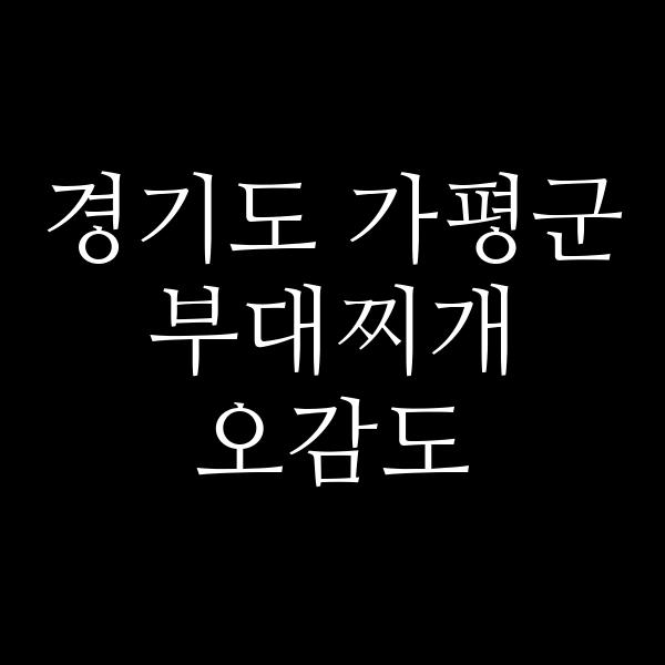 요약 정보 이미지