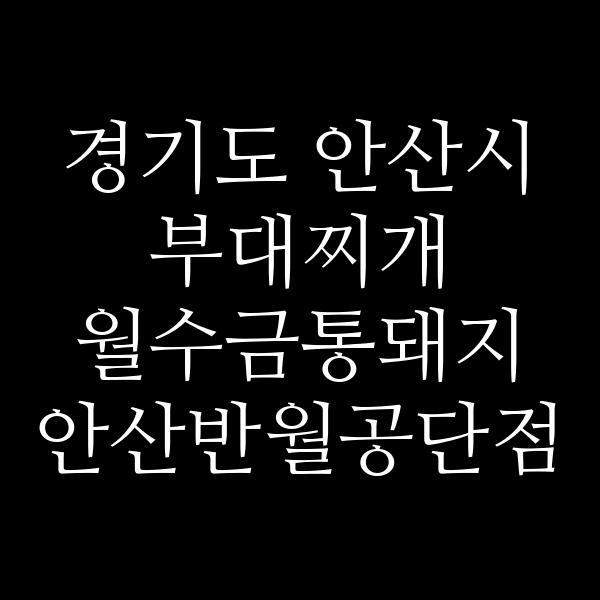 요약 정보 이미지