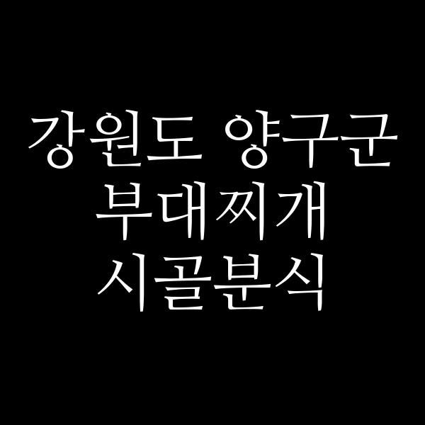 요약 정보 이미지