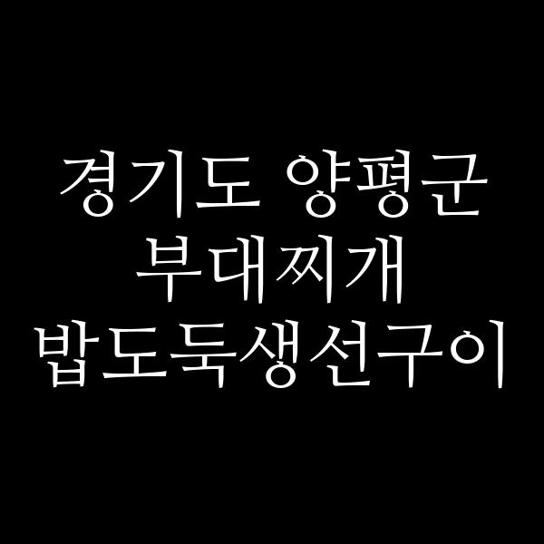 요약 정보 이미지
