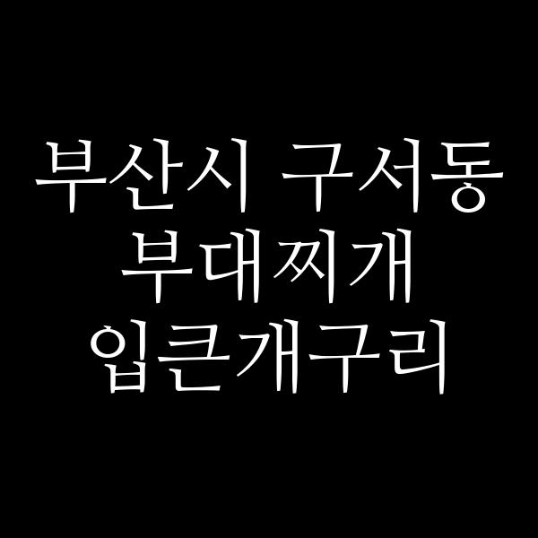 요약 정보 이미지