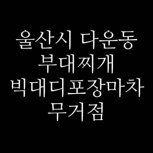 요약 정보 이미지