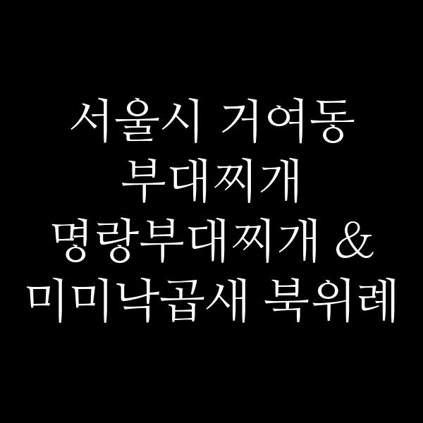 요약 정보 이미지