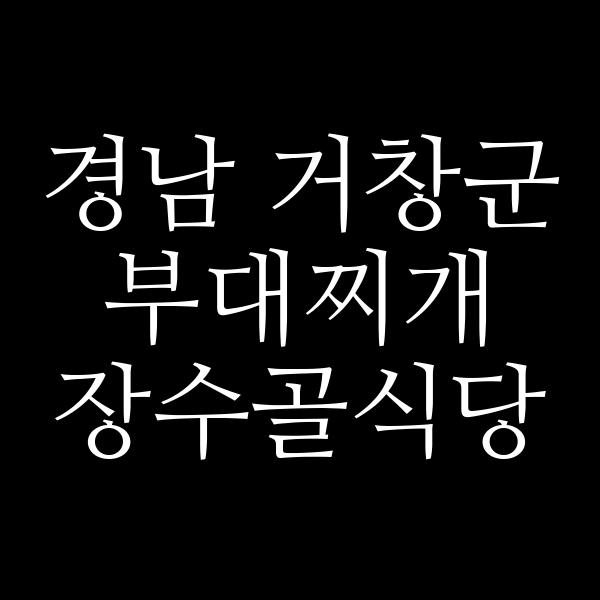 요약 정보 이미지