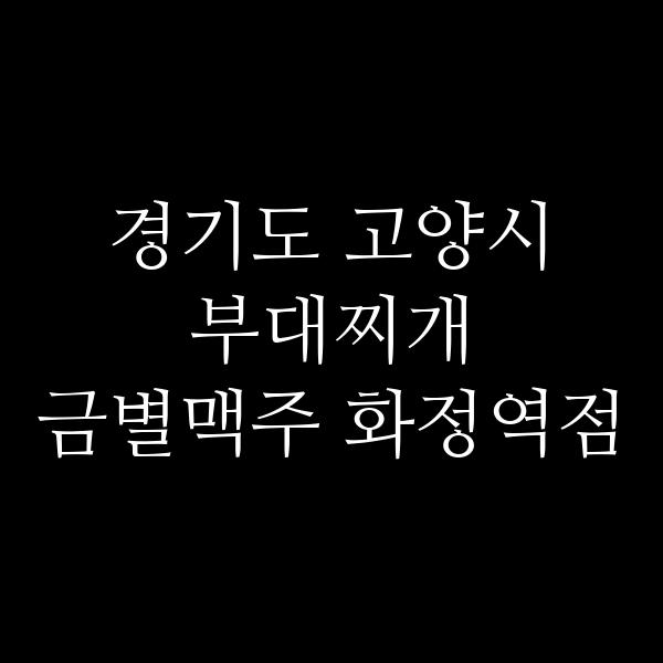 요약 정보 이미지