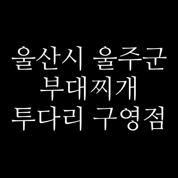 요약 정보 이미지