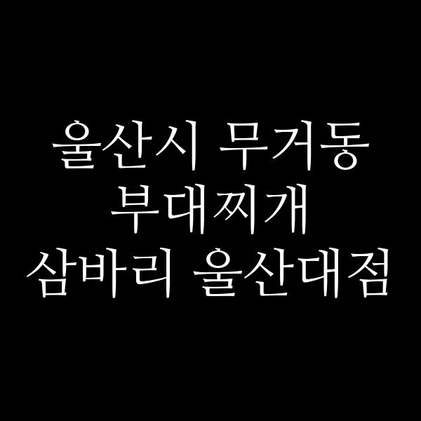 요약 정보 이미지