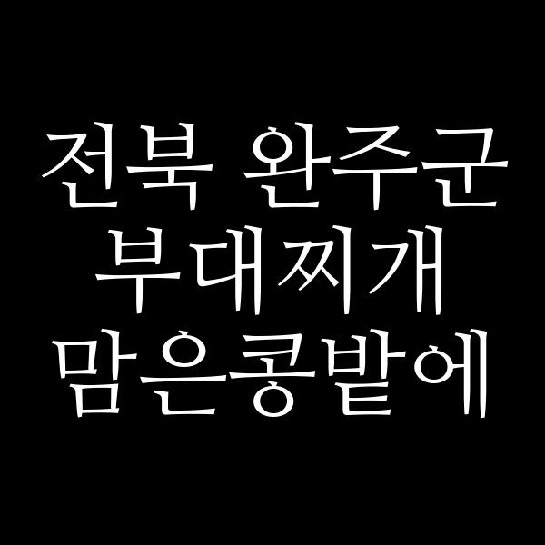 요약 정보 이미지