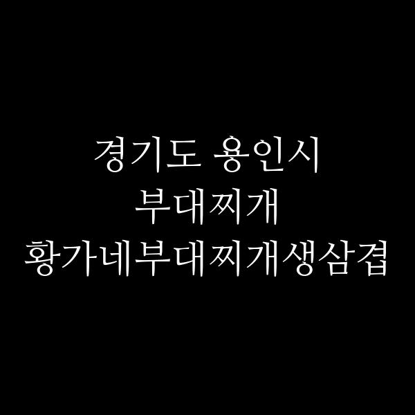요약 정보 이미지