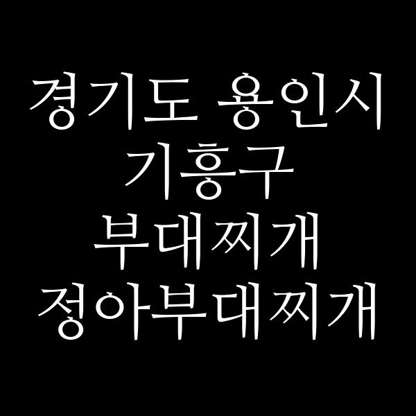 요약 정보 이미지