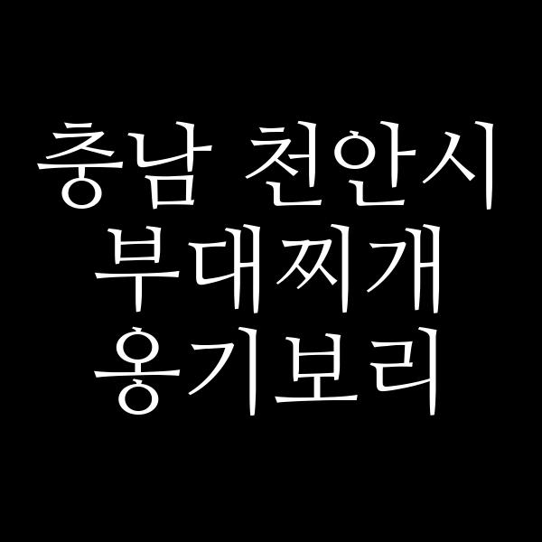 요약 정보 이미지