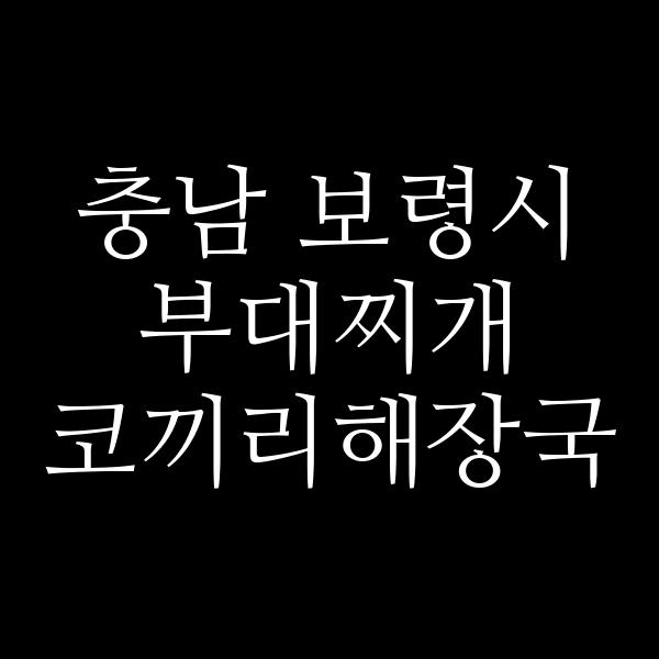요약 정보 이미지